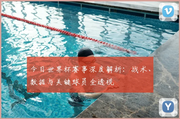 今日世界杯赛事深度解析：战术、数据与关键球员全透视