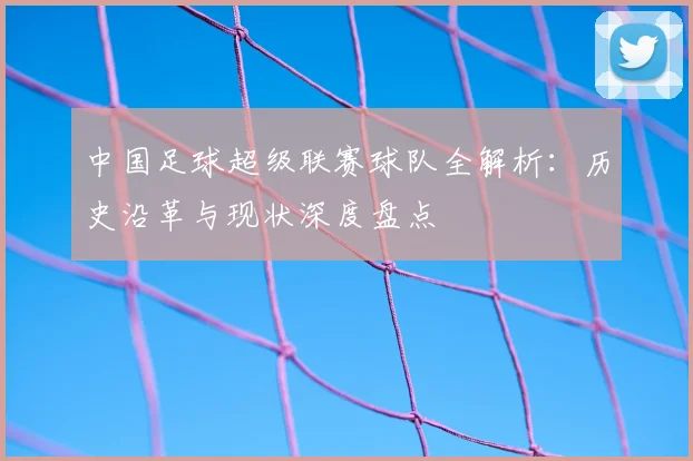 中国足球超级联赛球队全解析：历史沿革与现状深度盘点